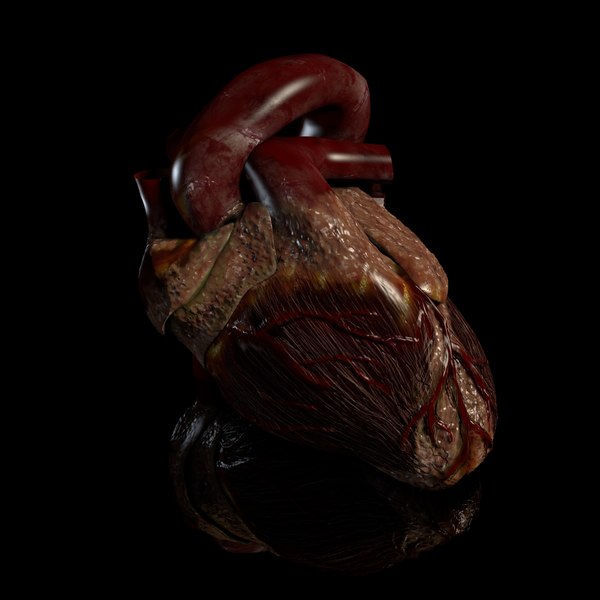 cinema4d heart beating - Beating Heart... by IMM