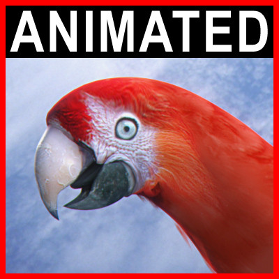 Animated Parrots Pack