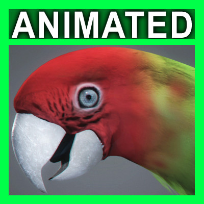 Animated Parrots Pack