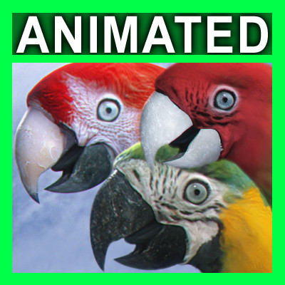 Animated Parrots Pack