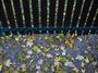 fence 04