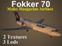fokker f70 mah max