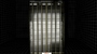 maya building office