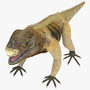 maya iguana brown