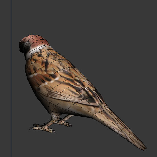 3ds max sparrow - Sparrow... by GurnisLV