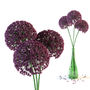 3d giant onion flowers vase