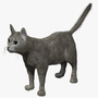 3d model cat fur