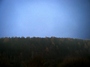 autumn landscape