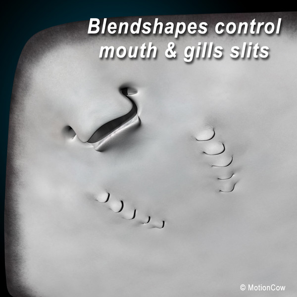realistic stingray 3d c4d - Stingray... by MotionCow