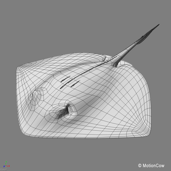 realistic stingray 3d c4d - Stingray... by MotionCow