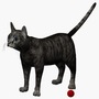 max rigged cat