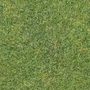 Grass Textures