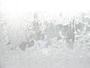 frozen flowers on a windowpane