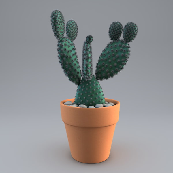 cactus plant 2 max - Cactus 2... by 3d_molier