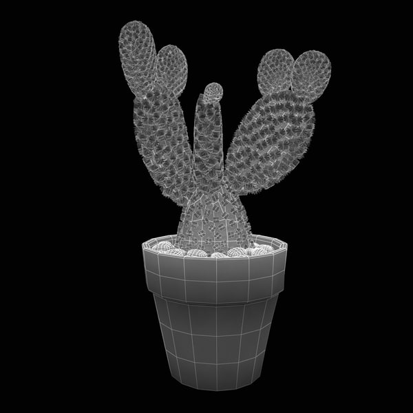 cactus plant 2 max - Cactus 2... by 3d_molier
