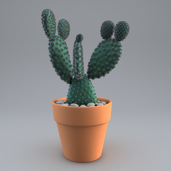 cactus plant 2 max - Cactus 2... by 3d_molier