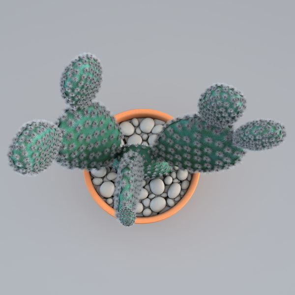 cactus plant 2 max - Cactus 2... by 3d_molier