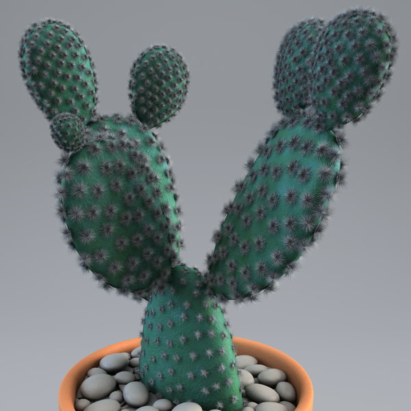 cactus plant 2 max - Cactus 2... by 3d_molier