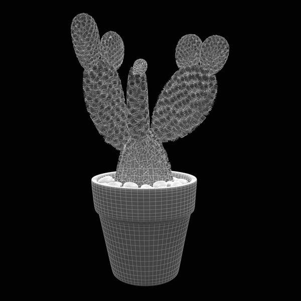 cactus plant 2 max - Cactus 2... by 3d_molier