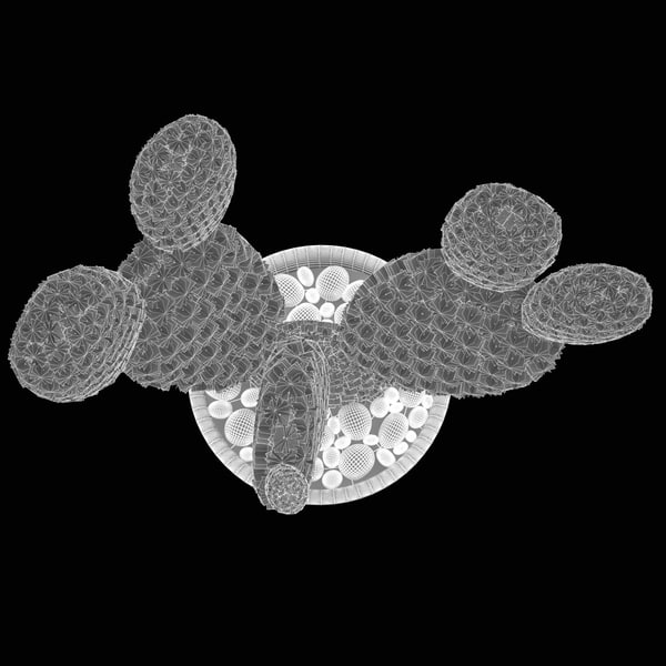 cactus plant 2 max - Cactus 2... by 3d_molier