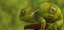 Chameleon