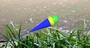 3ds max fishing float