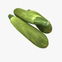 marrow vegetable 3d model
