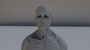 maya anatomy