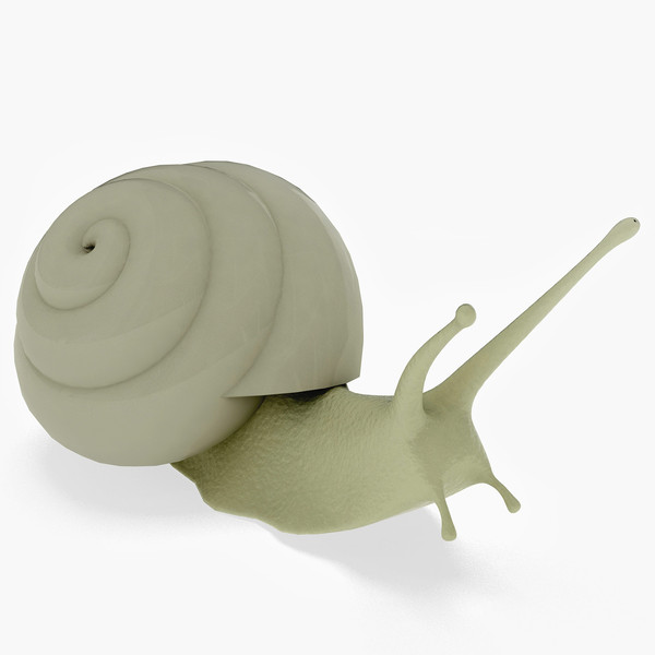 snail 3d max - Snail... by parhelios