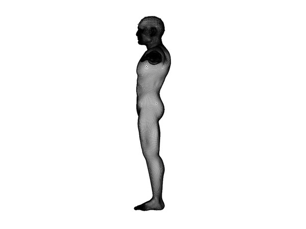 3d model fantasy character man - Man... by Digital Griffix Studios