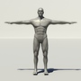 human male 3d model