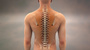 Spine stock image