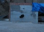 black cat on the building site