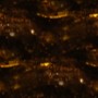 abstract 08