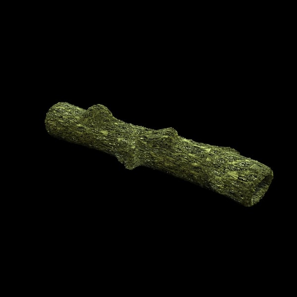 3d model moss covered hollow old tree - Moss Covered Hollow Tree Trunk... by Carrara1