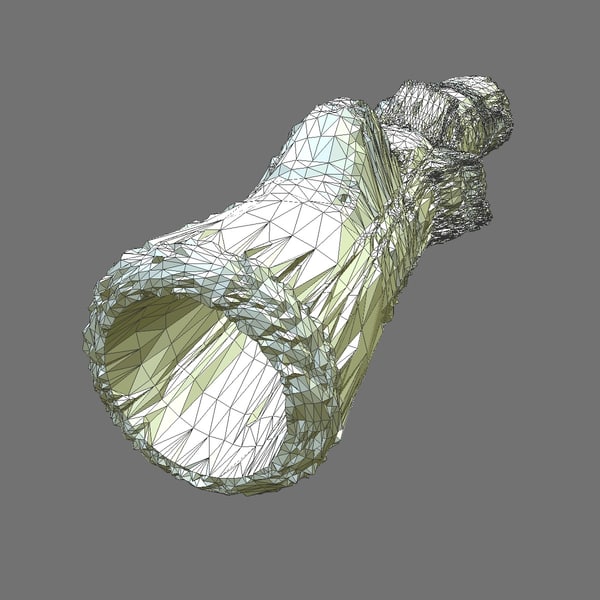 3d model moss covered hollow old tree - Moss Covered Hollow Tree Trunk... by Carrara1