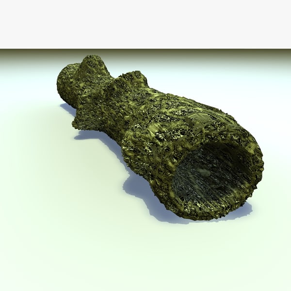 3d model moss covered hollow old tree - Moss Covered Hollow Tree Trunk... by Carrara1