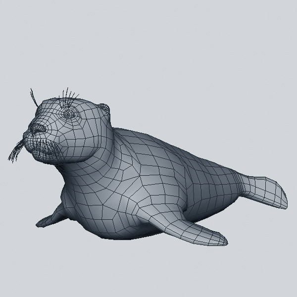 3d harbor sea seal model - Harbor Seal... by 3d_Wanderer