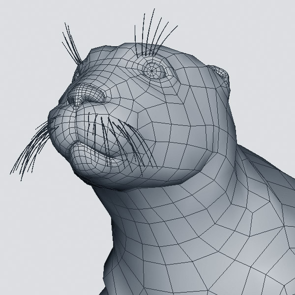 3d harbor sea seal model - Harbor Seal... by 3d_Wanderer