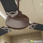 ceiling fan max