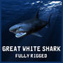 great white shark c4d