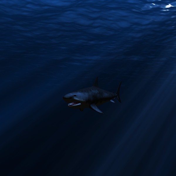 great white shark c4d - WHITE SHARK... by NGC4051