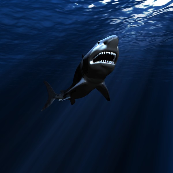 great white shark c4d - WHITE SHARK... by NGC4051
