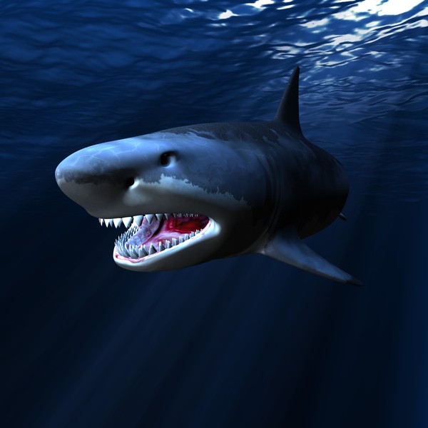 great white shark c4d - WHITE SHARK... by NGC4051