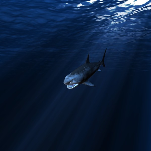 great white shark c4d - WHITE SHARK... by NGC4051