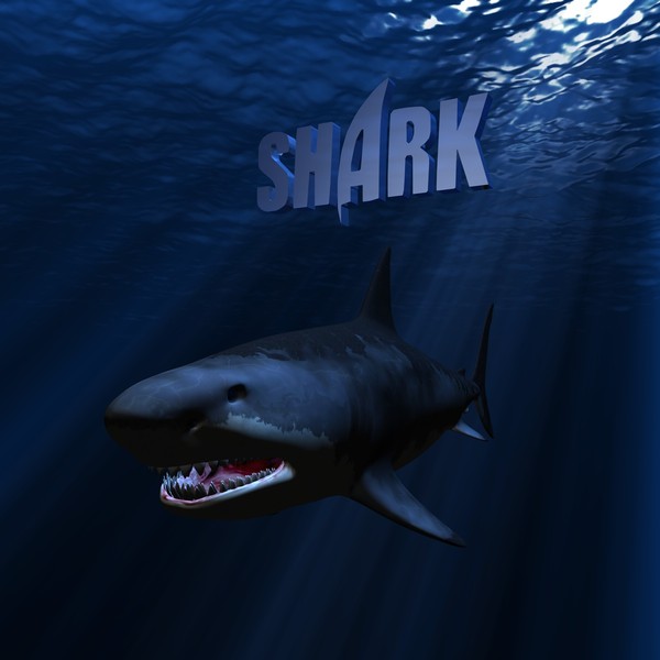 great white shark c4d - WHITE SHARK... by NGC4051