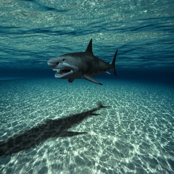 great white shark c4d - WHITE SHARK... by NGC4051