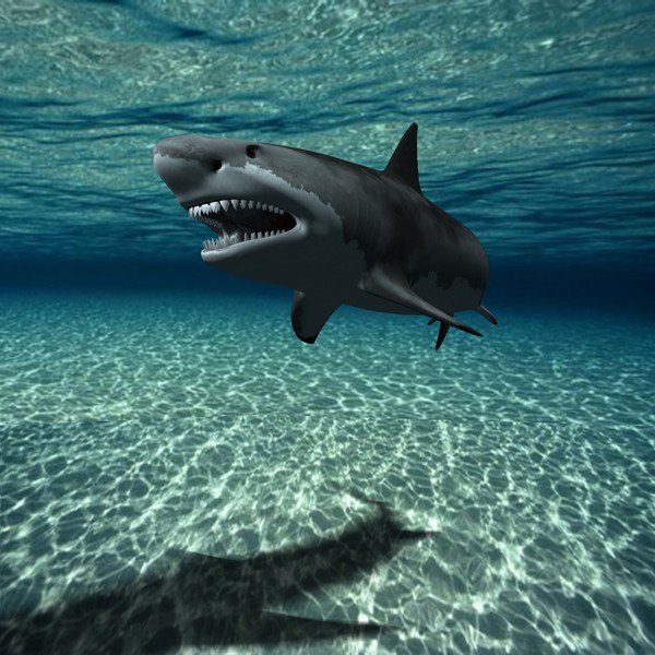 great white shark c4d - WHITE SHARK... by NGC4051