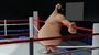 3d model of boxing man