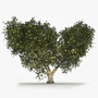 3ds max oak tree summer